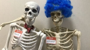 ORI Skeletons